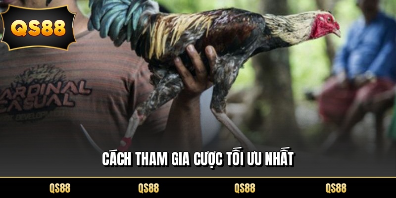 Cách tham gia cược tối ưu nhất