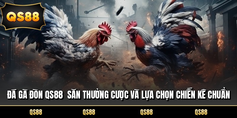 Đá Gà Đòn QS88 Săn Thưởng Cược Và Lựa Chọn Chiến Kê Chuẩn
