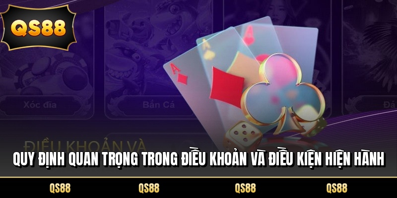 Quy định quan trọng trong điều khoản và điều kiện hiện hành