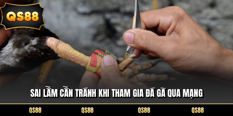Sai lầm cần tránh khi tham gia đá gà qua mạng